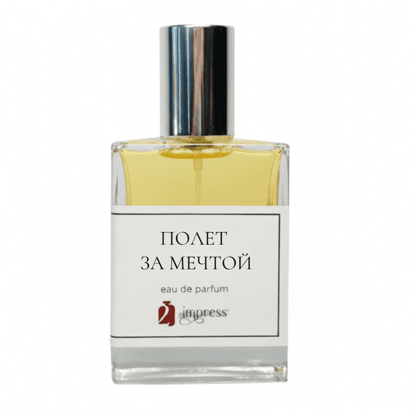 Полет за мечтой