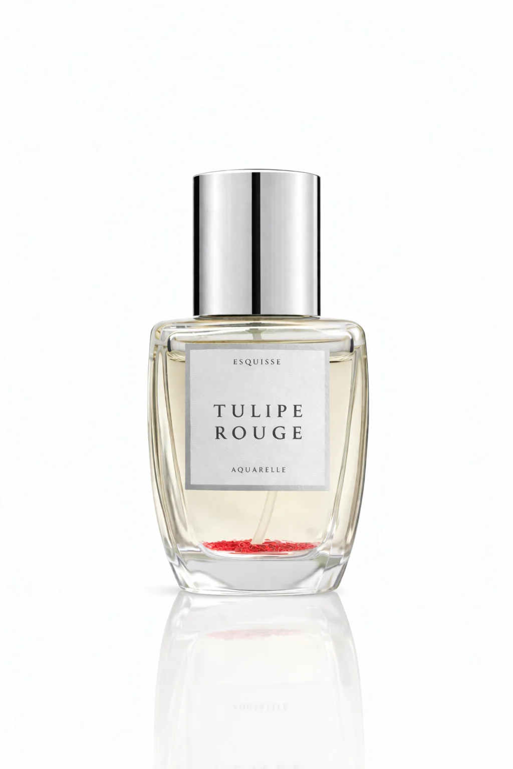 Tulipe Rouge