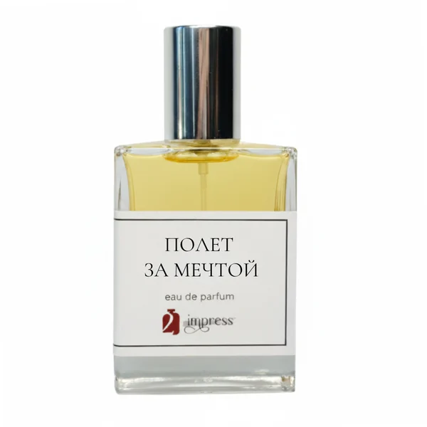 Полет за мечтой