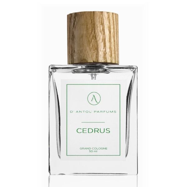 Cedrus
